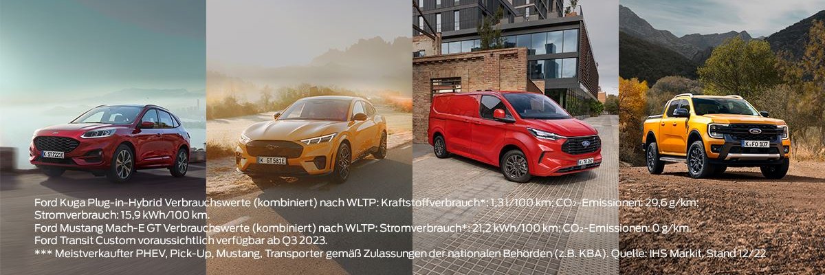 Plug in Hybrid Fahrzeuge 